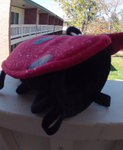Ladybug Chalk Bag